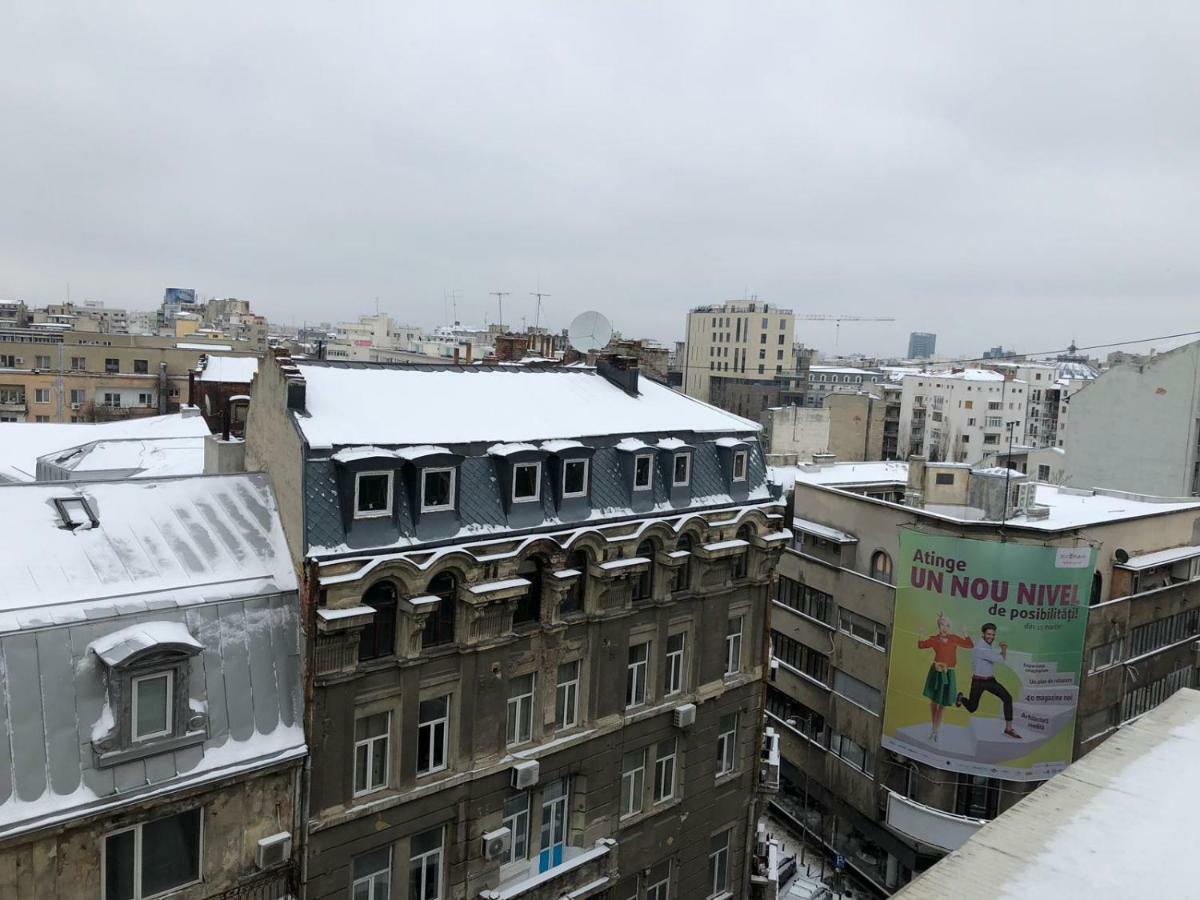 Studio Calea Victoriei 101 Apartament